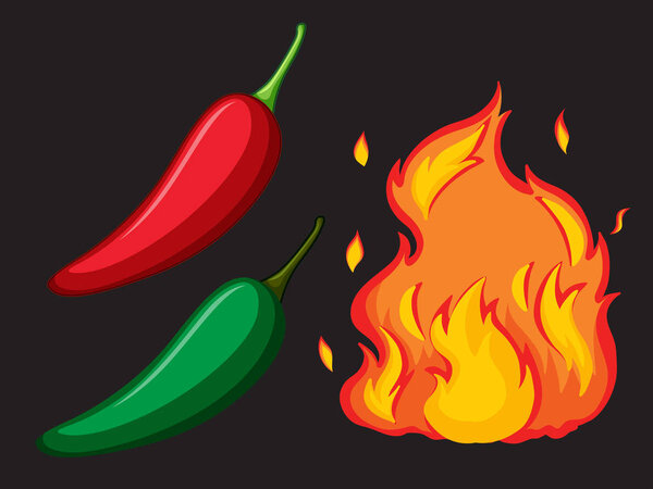 Hot Spicy Chilli and Fire illustration