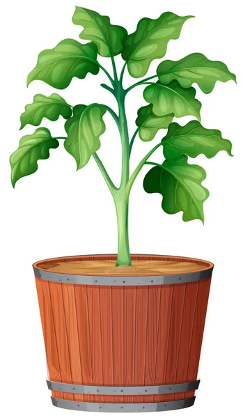 Planta Cultivando Maceta Ilustración — Vector de stock