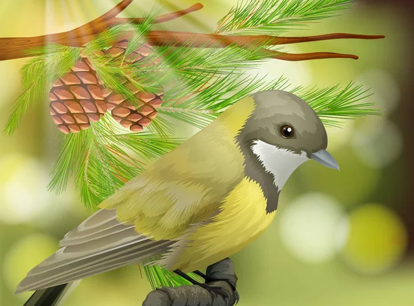 Belo Pássaro Ilustração Pine Tree — Vetor de Stock