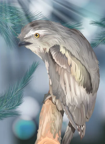 Grey Bird Nature Illustration — Stock Vector