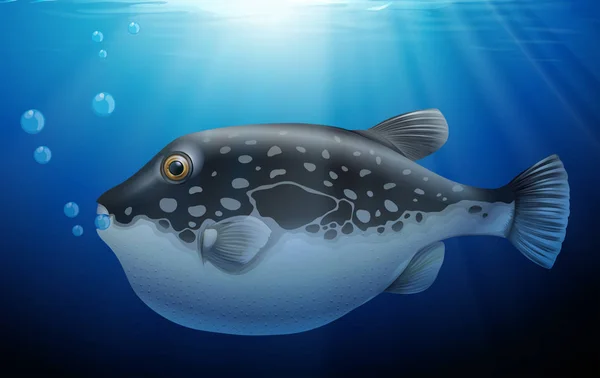 Puffer Fish in the Deep Ocean illustration