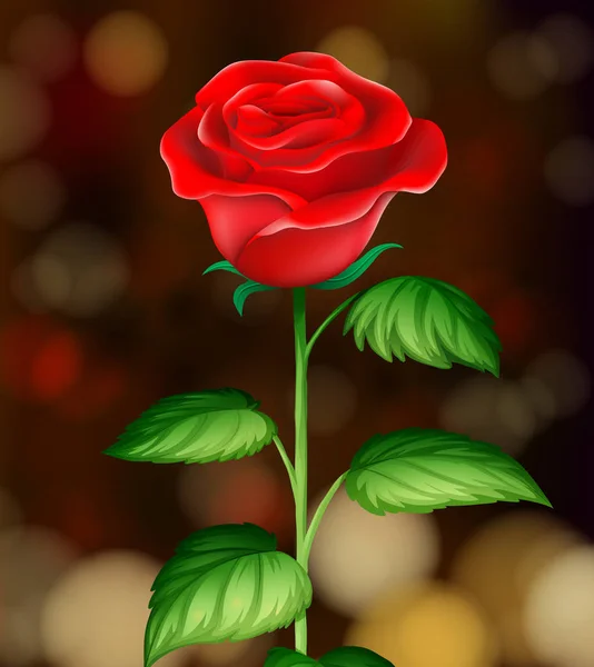 Una Bella Rosa Rossa Sfondo Illustrazione — Vettoriale Stock
