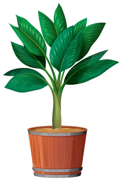 ポットの図の小さな植物 — ストックベクタ