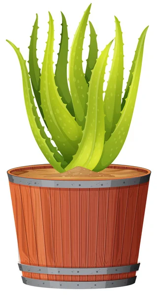 Planta Aloe Maceta Ilustración — Vector de stock