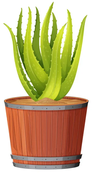 Aloë Plant Pot Afbeelding — Stockvector