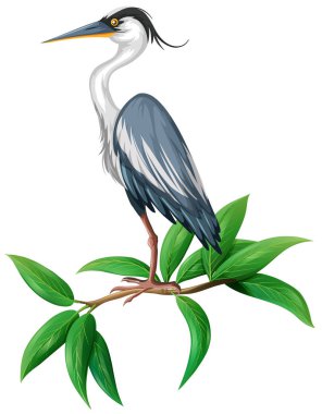 Beyaz arka plan illüstrasyon üzerinde bir leylek