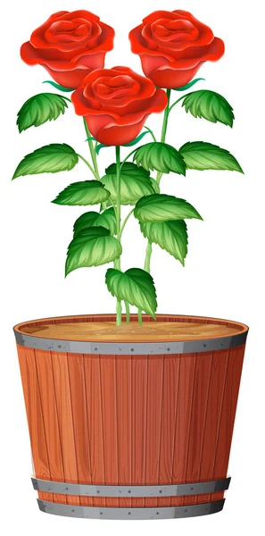 Potenciômetro Ilustração Planta Rosa — Vetor de Stock