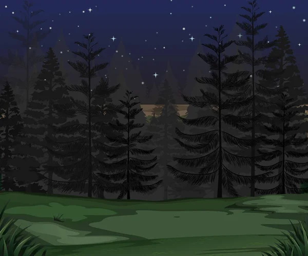 Mystery Forest Dark Night Illustration — Stock Vector