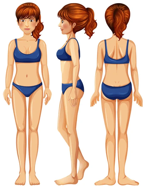 Vector Ilustración Del Cuerpo Femenino — Vector de stock