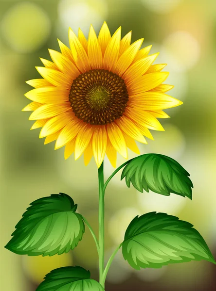 Eine Sonnenblume Auf Der Natur Hintergrund Illustration — Stockvektor