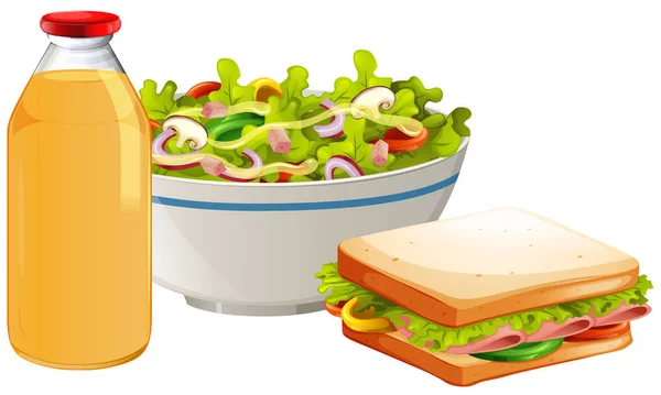 Healthy Sandwich Salad Illustration — Stock Vector