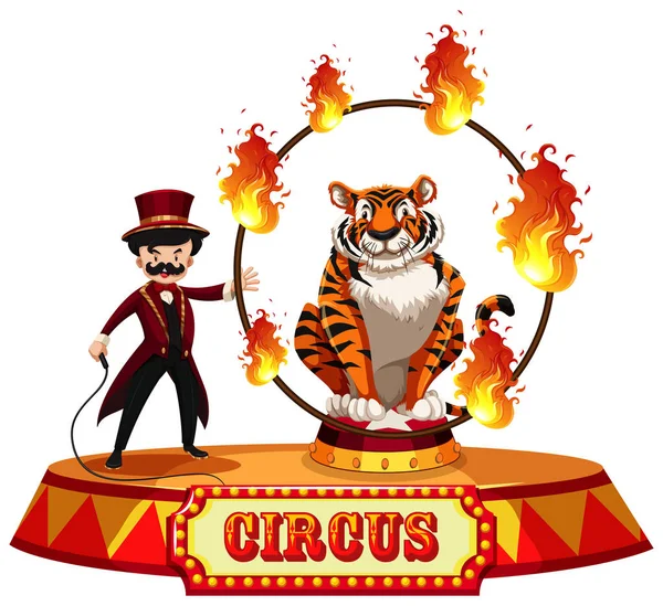 Espectáculo Circo Tigre Sobre Fondo Blanco Ilustración — Vector de stock