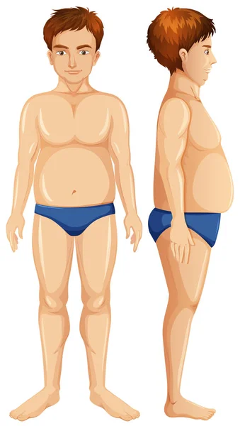 Fat Man Body White Background Illustration — Stock Vector