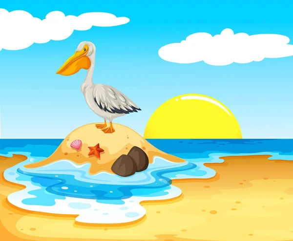 Pelican Bird Beach Illustration — Stock Vector