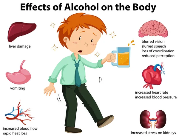 Effekter Alkohol Kroppen Illustrationen — Stock vektor