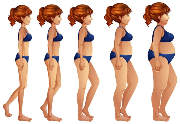 Woman Body Transformation Illustration — Stock Vector