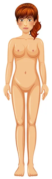 Woman Body White Background Illustration — Stock Vector