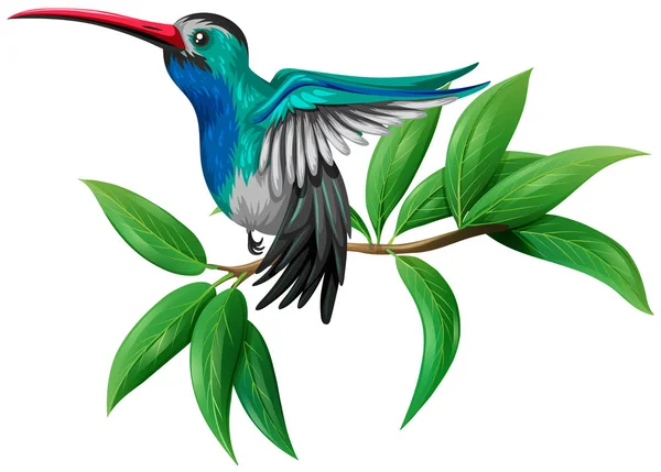 Färgglad Kolibri Vit Bakgrund Illustration — Stock vektor