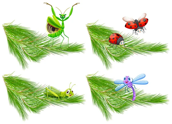 Insect on Pine Tree Branch illustration