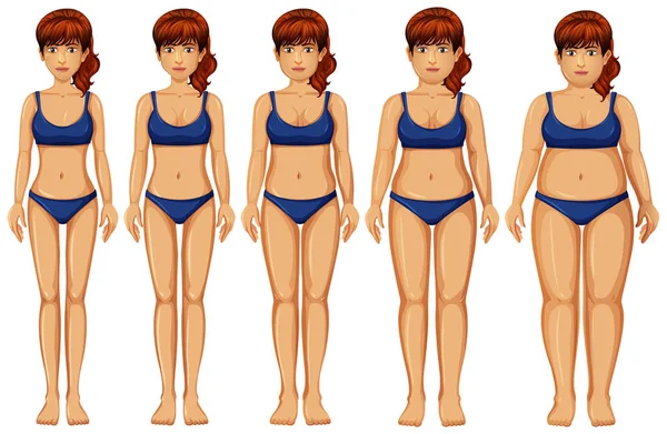 女性身体变换在白色背景例证 — 图库矢量图片
