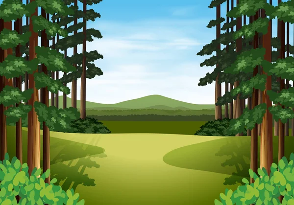 美丽的树林插图场景 — 图库矢量图片