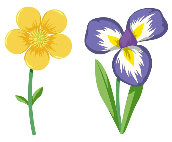 Conjunto Coloridas Flores Ilustración — Vector de stock