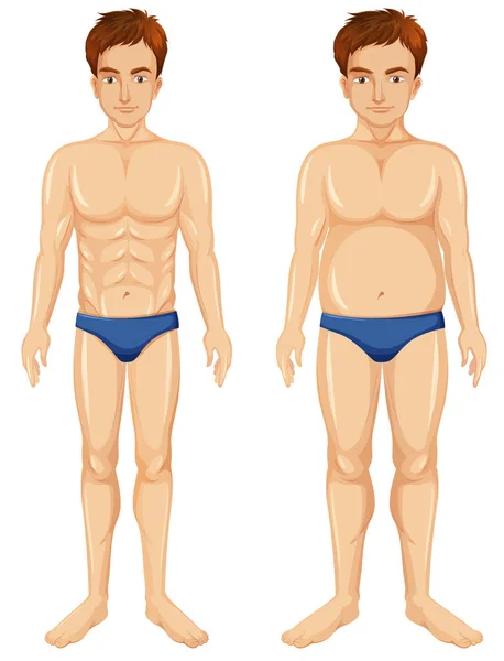 Illustration Der Transformation Des Menschlichen Körpers — Stockvektor