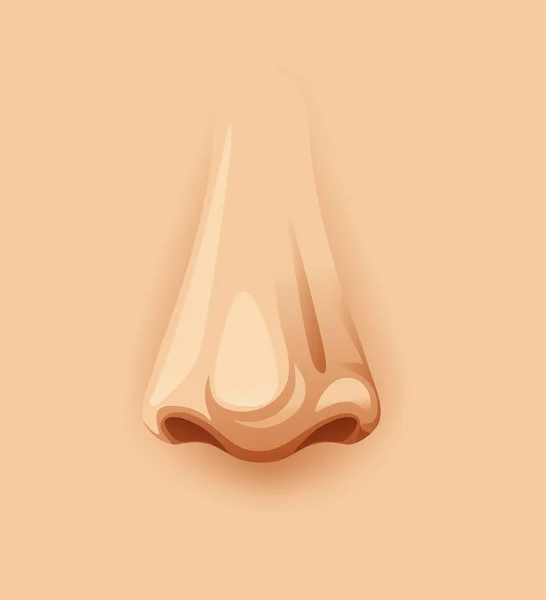 Lidský Nos Detailní Ilustrace — Stockový vektor