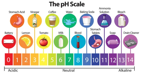 Иллюстрация Science Scale — стоковый вектор