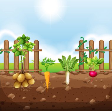 Kök sebzeler şekil kümesi