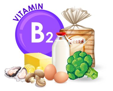 B2 vitamini yiyecek şekil kümesi