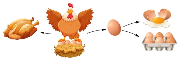 Kyckling Produkt Vit Bakgrund Illustration — Stock vektor