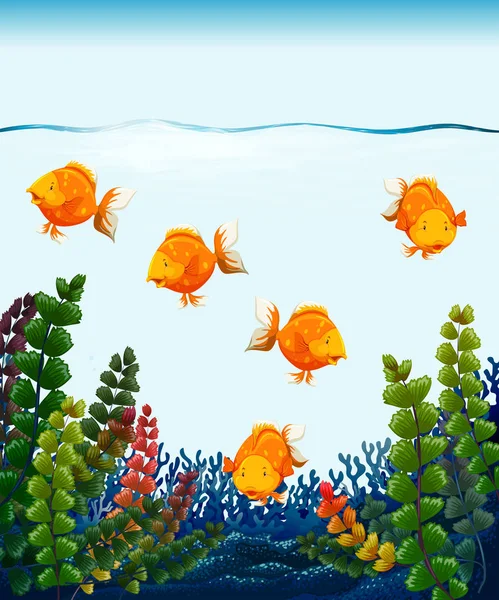 Nahaufnahme Goldfische Becken Illustration — Stockvektor