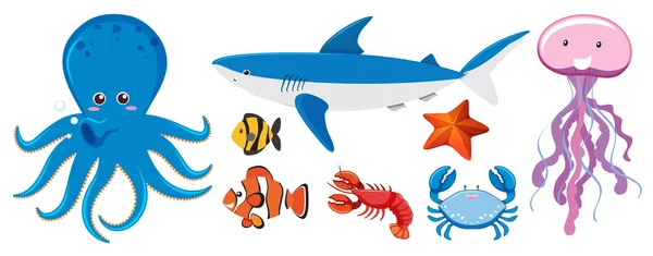 Set Sea Creatures Illustration — Stock Vector