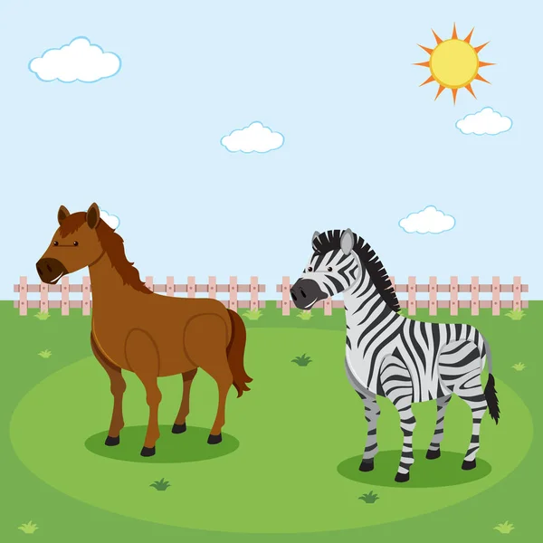 Zebra and horse in nature illustration