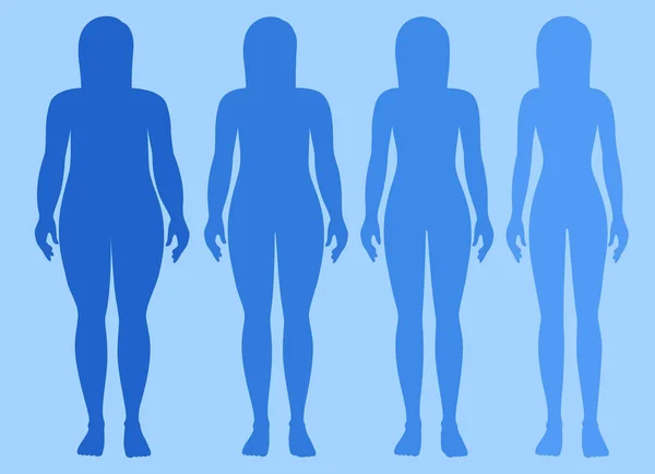 Weiblicher Körper Fettleibig Bis Dünn Illustration — Stockvektor