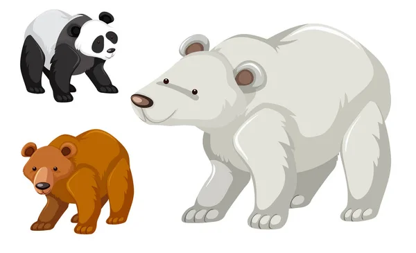Type Bear Set Illustration — Stock Vector