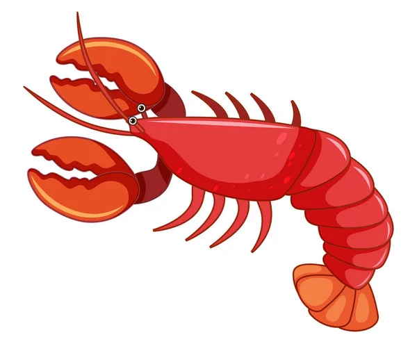 Sebuah Ilustrasi Lobster Merah Besar - Stok Vektor