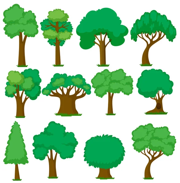 Set Various Trees Illustration — Stock Vector