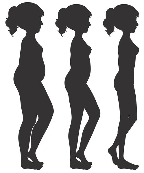A set of woman body transformation illustration