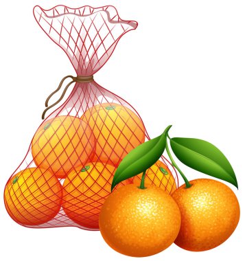 Mandalina illüstrasyon bir torba