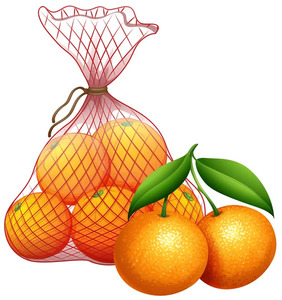 Una Bolsa Ilustración Mandarina — Vector de stock