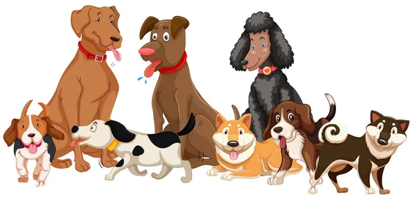 Conjunto Varios Perros Ilustración — Vector de stock