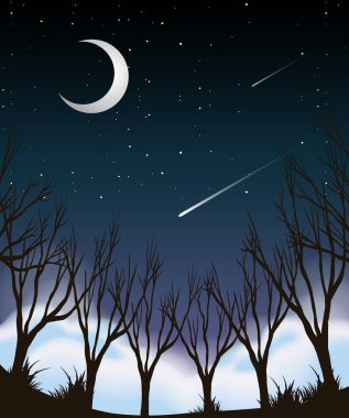 Gece gökyüzü orman sahne illüstrasyon