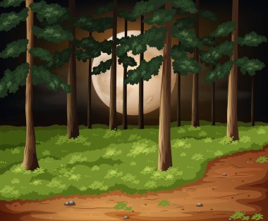 Karanlık gece illüstrasyon bir ormanda