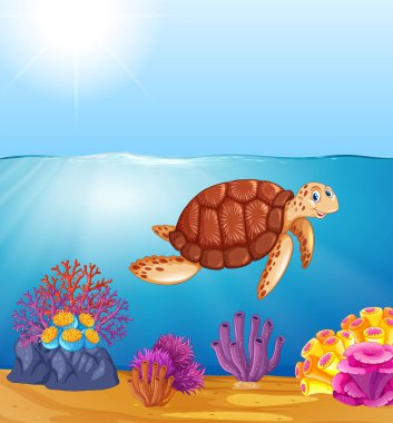 Okyanus resimde yeşil deniz kaplumbağası