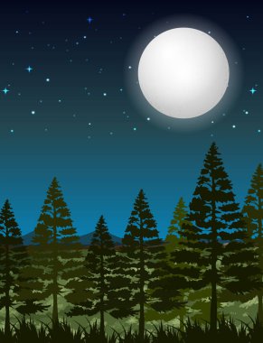 Karanlık gece orman sahne illüstrasyon