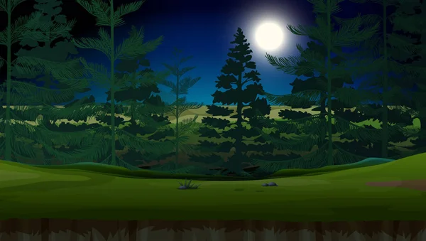 Skog Mörka Natten Illustration — Stock vektor