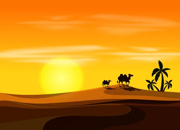 Camel Sunset Desert Illustration — Stock Vector