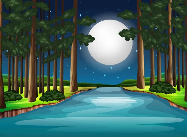 Schöne Naturlandschaft Bei Nacht Illustration — Stockvektor